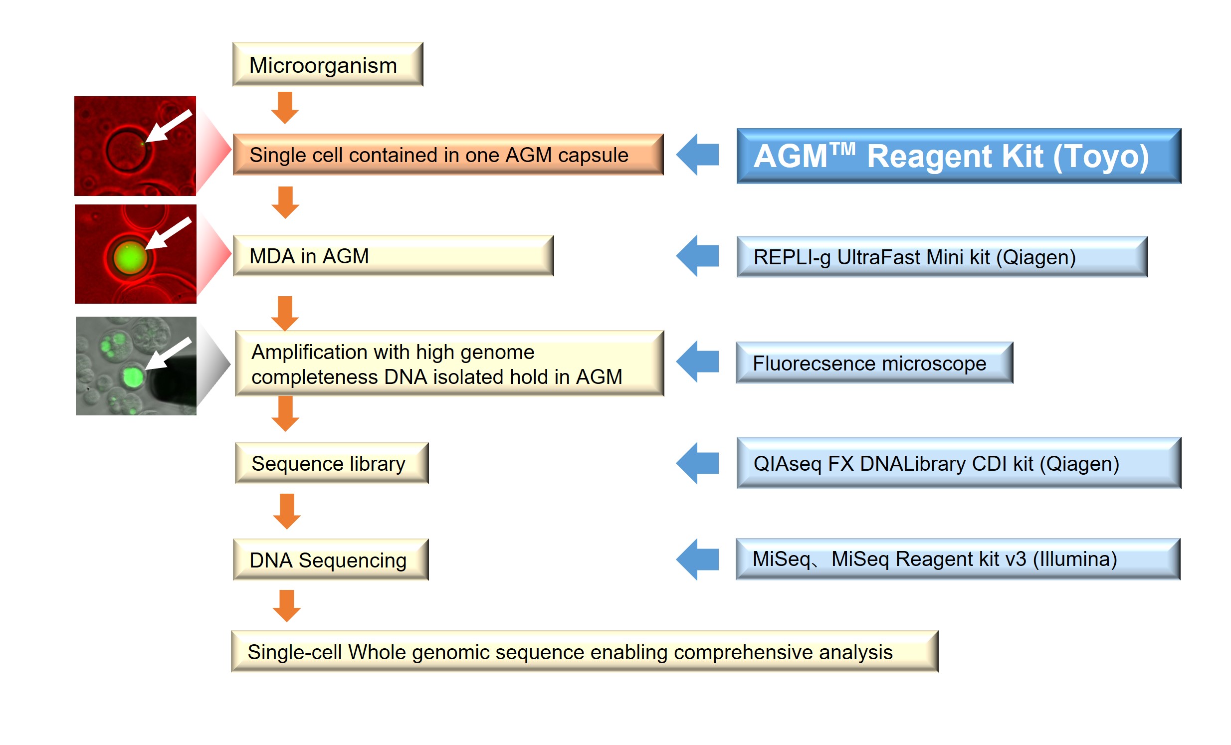 AGM Reagent kit™ | AGM™ Reagent kit  | One Technologies Company