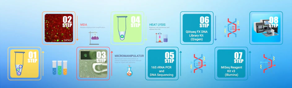 マニュアル操作での細胞AGM包埋手法の概要｜細胞カプセル化試薬（AGM™）｜ワン・テクノロジーズ・カンパニー
