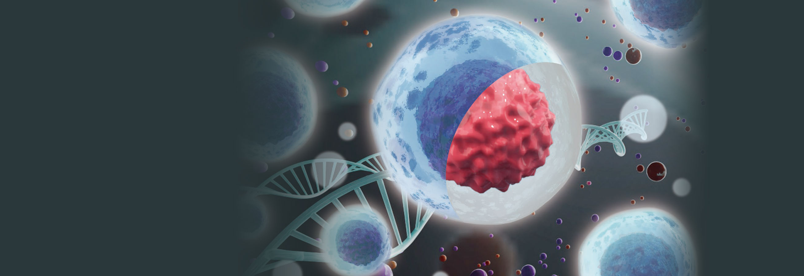 3D細胞培養への革新的アプローチ｜細胞カプセル化試薬(AGM™)｜ワン・テクノロジーズ・カンパニー