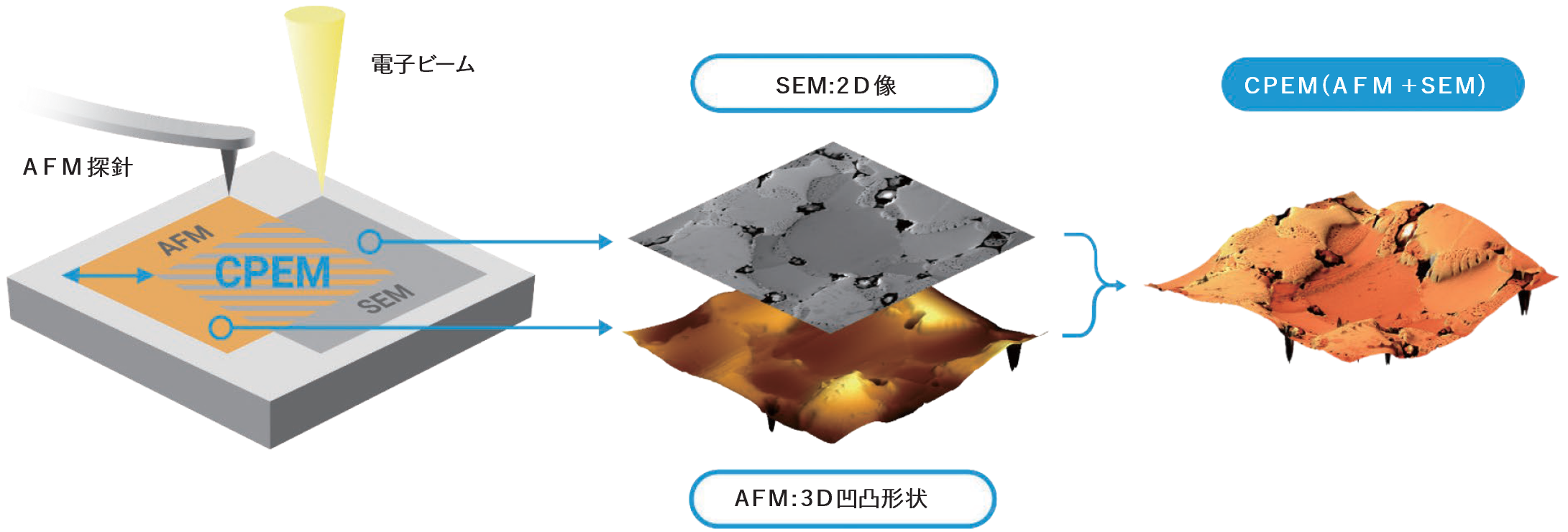 In-SEM AFM | 東陽テクニカ | “はかる”技術で未来を創る | ナノ